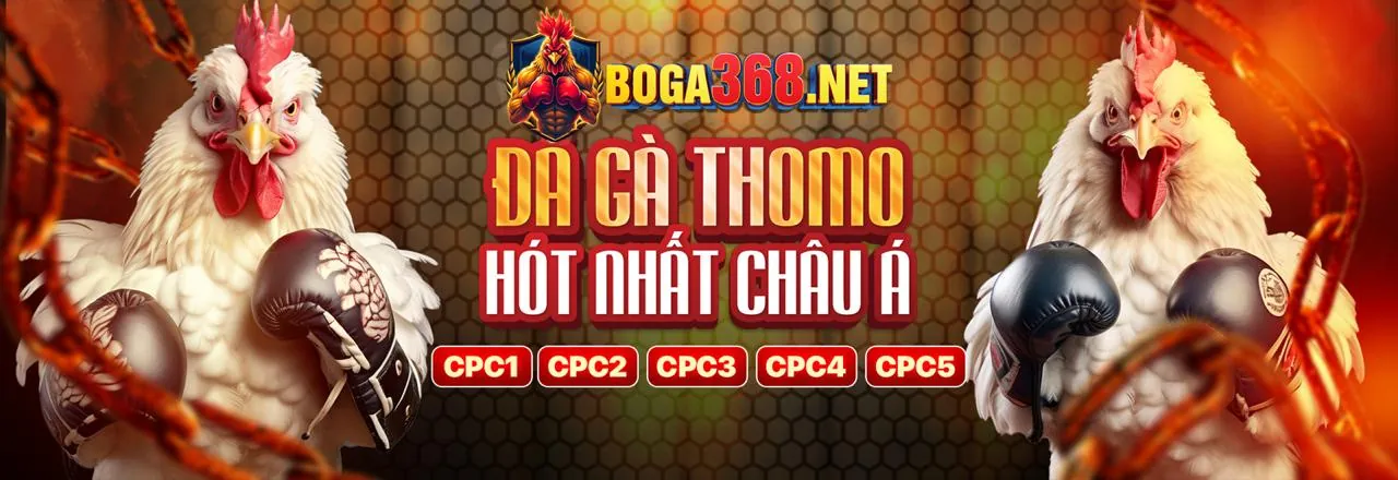 Sòng bạc trực tuyến với đá gà Thomo hôm nay trực tiếp